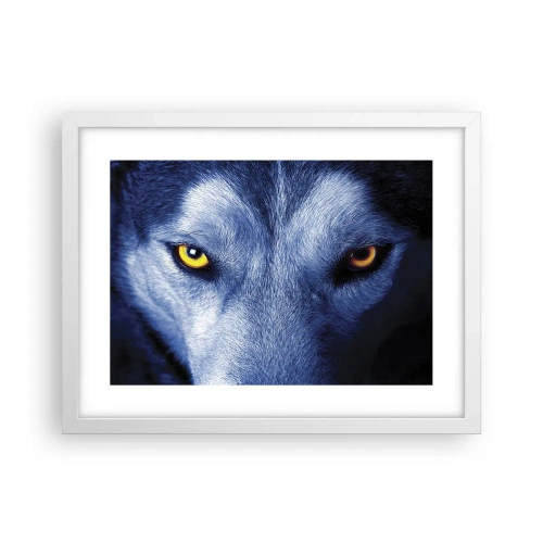 Plagát v bielom ráme - Fascinujúci pohľad - 40x30 cm