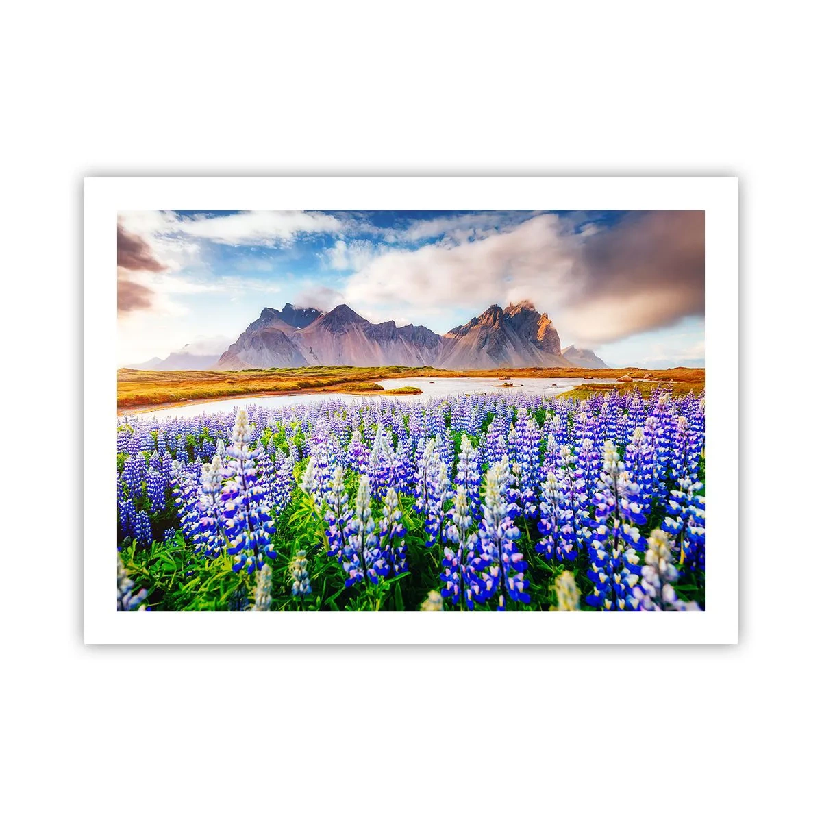 Plagát - Sila a prísnosť vedľa miernosti - 70x50 cm