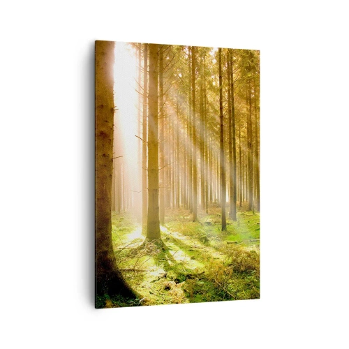 Obraz na plátne - Čoskoro sa objavia elfovia - 70x100 cm