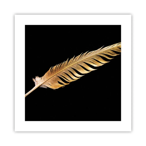 Plagát - Krásne pierko… - 40x40 cm