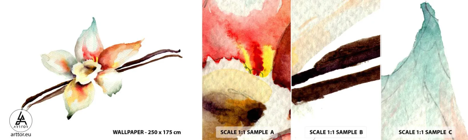 Vzorka Fototapeta Standard Eco - Farbičkou rozliata sladkosť - Vanilkový kvet, Kvetina, Vanilková tyčinka - 100x30 cm