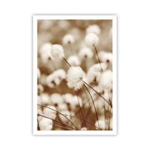 Plagát - Chlpatý lán - 70x100 cm