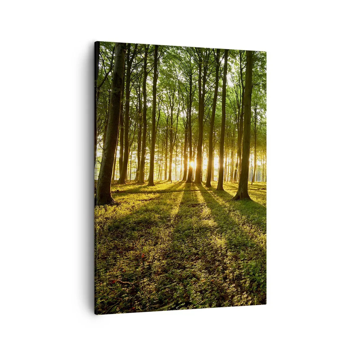 Obraz na plátne - Fotografie všetkých jarí - 50x70 cm