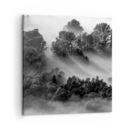 Obraz na plátne - Prebúdzanie zo spánku - 50x50 cm