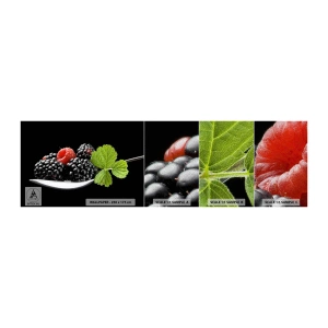 Vzorka fototapety Premium Sand - Chuť sviežosti - Ovocie, Blackberry, Malina - 100x30 cm
