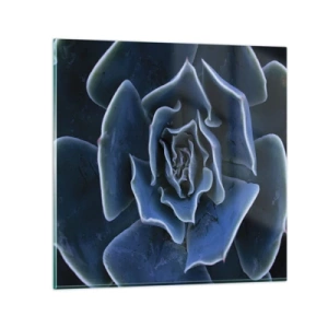 Obraz na skle - Púštny kvet - 60x60 cm