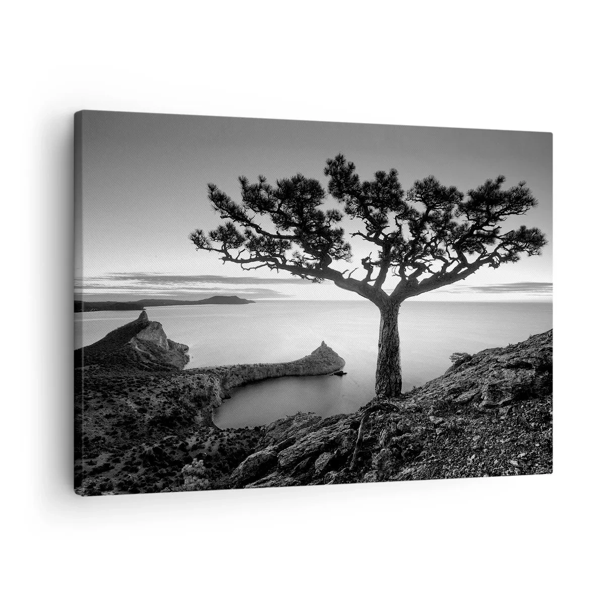 Obraz na plátne - Čiernobiela krajina s osamelým stromom na útese nad morom - 70x50cm - Pokoj až k horizontu - Moderná nástenná dekorácia do obývacej izby a spálne ARTTOR