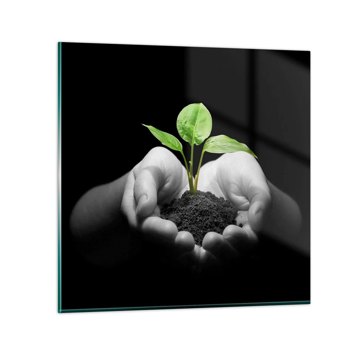 Obraz na skle - Milujem prírodu, chránim ju - 60x60 cm