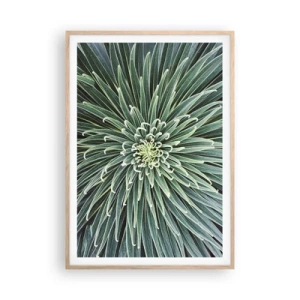 Plagát v ráme zo svetlého duba - Zrodenie hviezdy - 70x100 cm