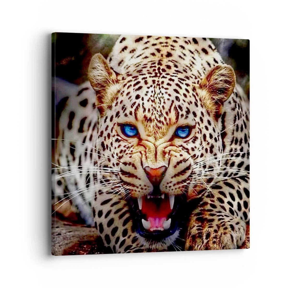 Obraz na plátne - Zlosť kráse neškodí - 40x40 cm