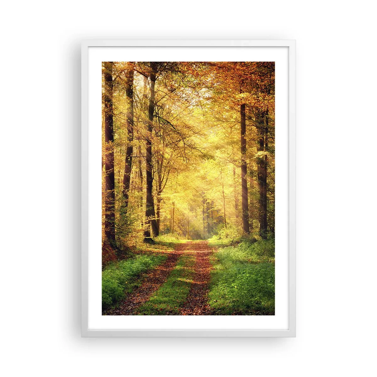 Plagát v bielom ráme - Lesno-zlaté ticho - 50x70 cm