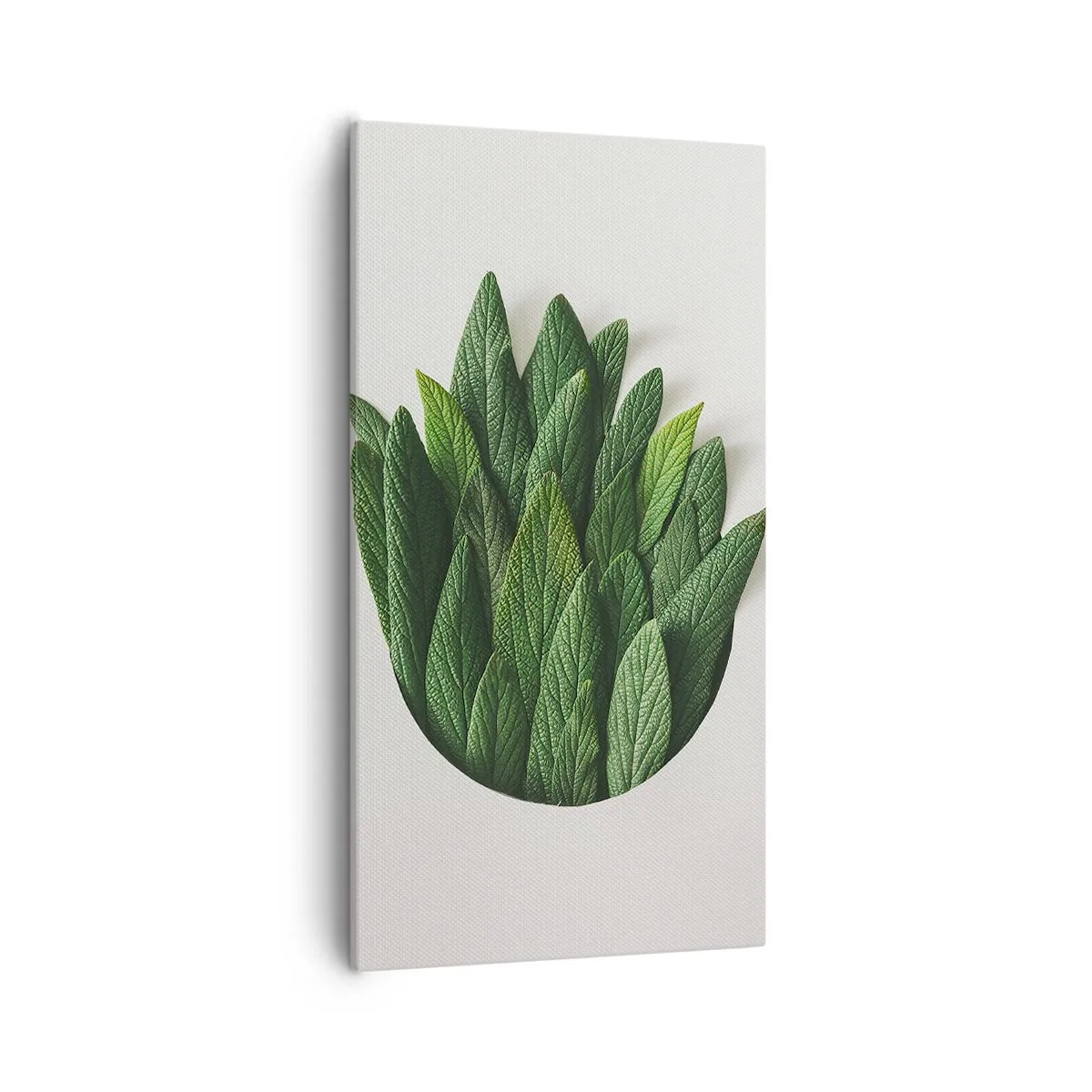 Obraz na plátne - Neukojiteľná zvedavosť - 55x100 cm