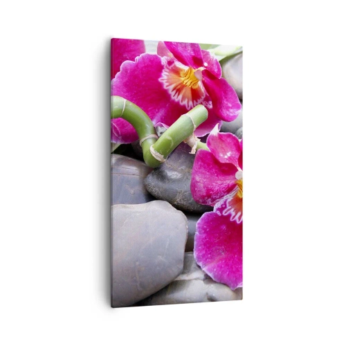 Obraz na plátne - Chlad a žiara - 55x100 cm