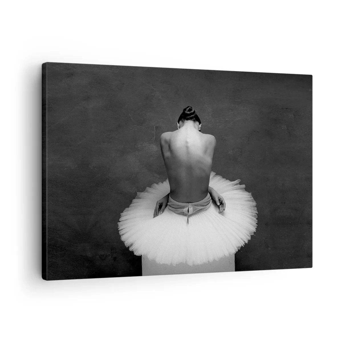 Obraz na plátne - Baletný tanečník v klasickej póze na tmavom pozadí. - 70x50cm - Práve prekvitá - Moderná nástenná dekorácia do obývacej izby a spálne ARTTOR