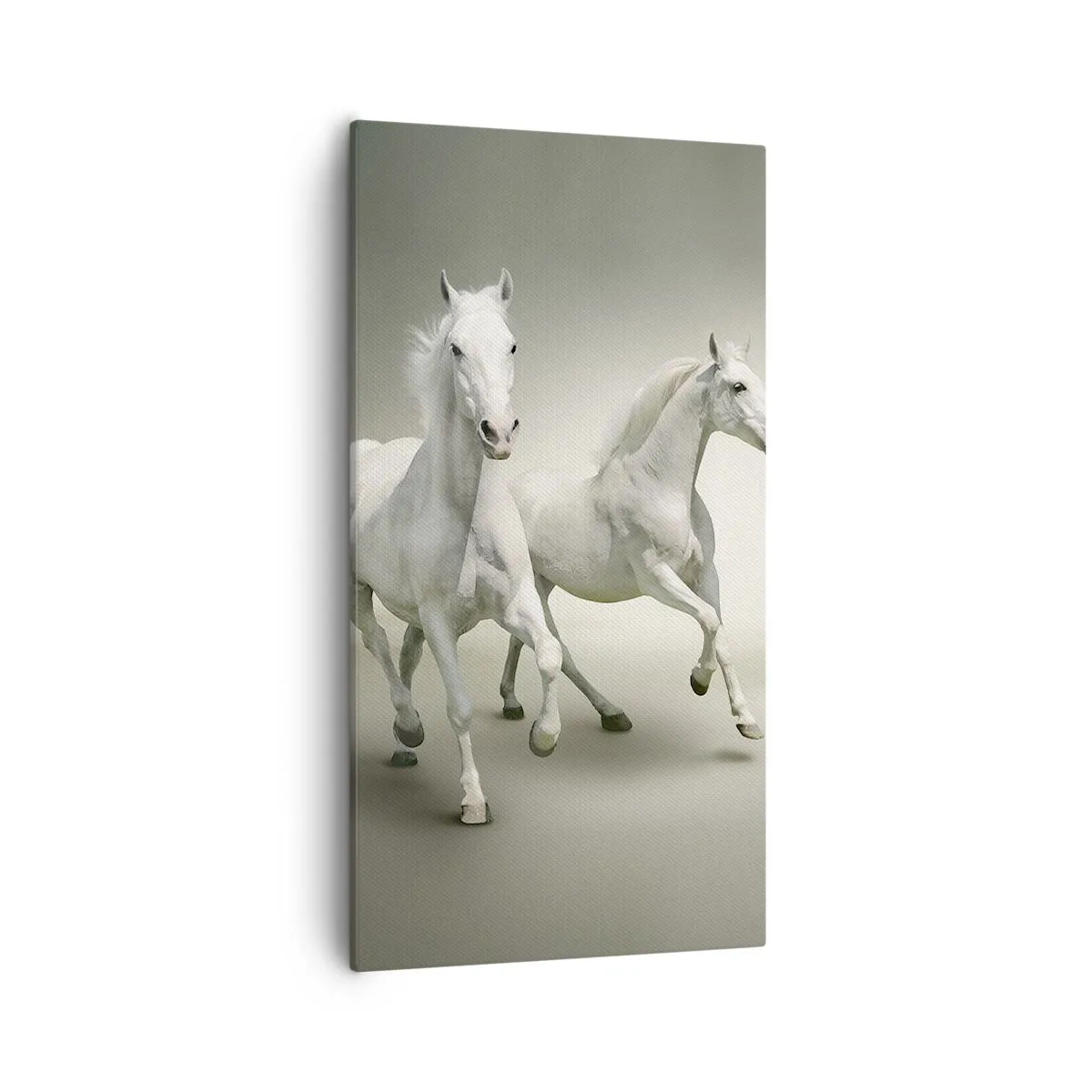 Obraz na plátne - White power! - 55x100 cm