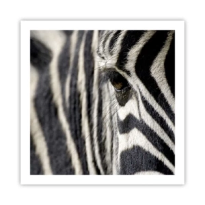 Plagát - Portrét s pruhmi - 60x60 cm