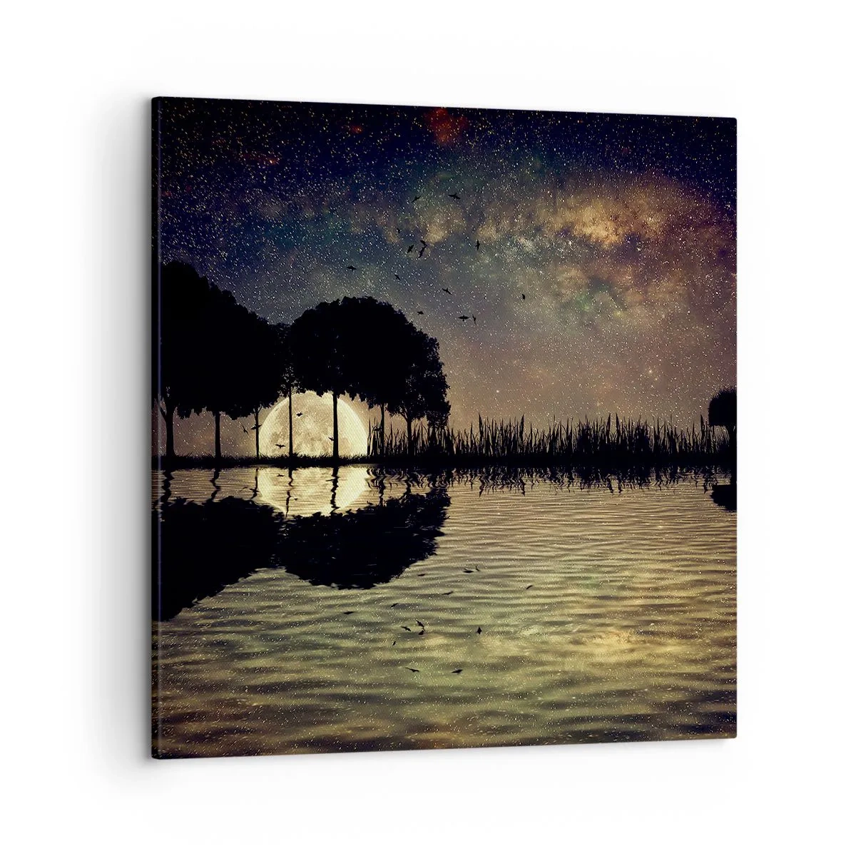 Obraz na plátne - Noc na konci sveta - 50x50 cm
