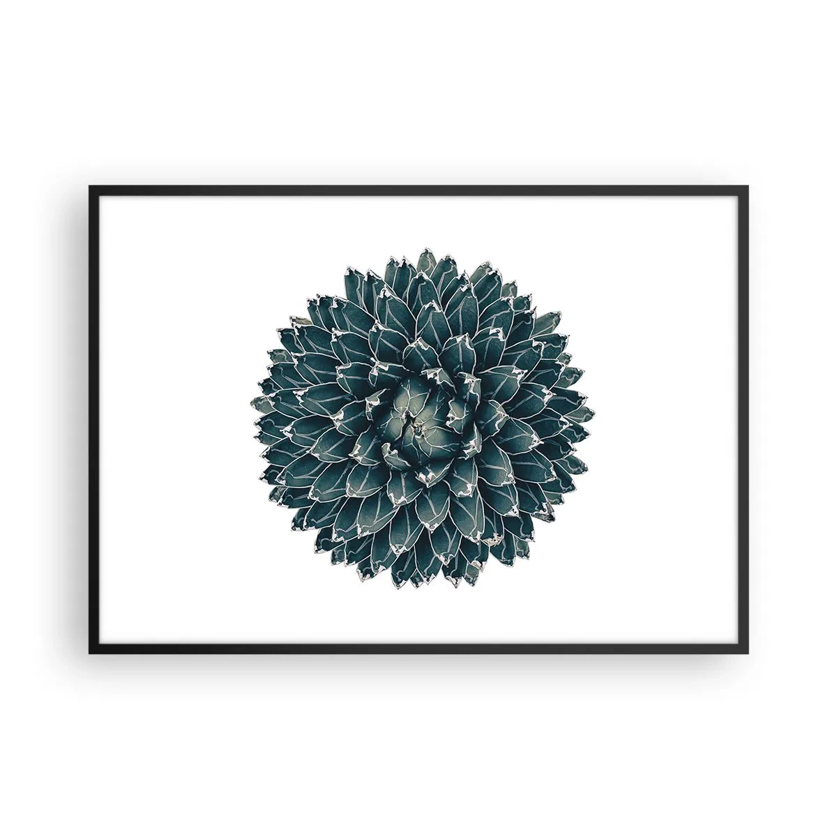 Plagát v čiernom ráme - Hviezda púšte - 100x70 cm