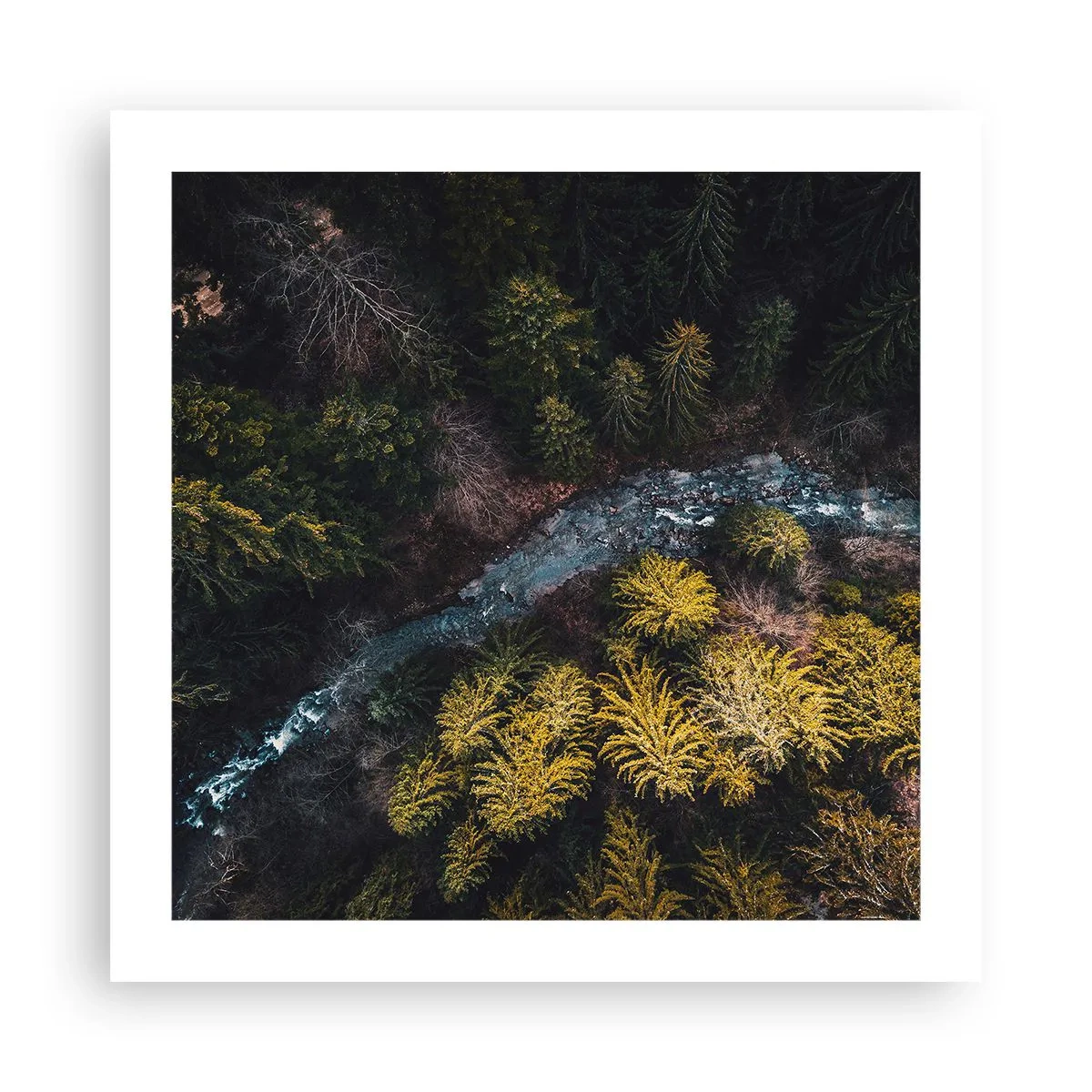 Plagát - Rýchlo, stále rýchlejšie - 50x50 cm
