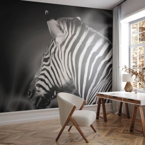 Fototapeta Standard Eco - Biele je biele a čierne je čierne - Rebrá, Čierna a biela, Zvieratá - 400x280 cm