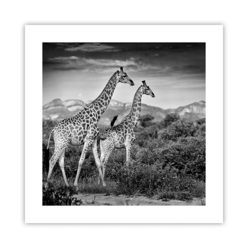 Plagát - Vyššie kruhy v Afrike - 40x40 cm