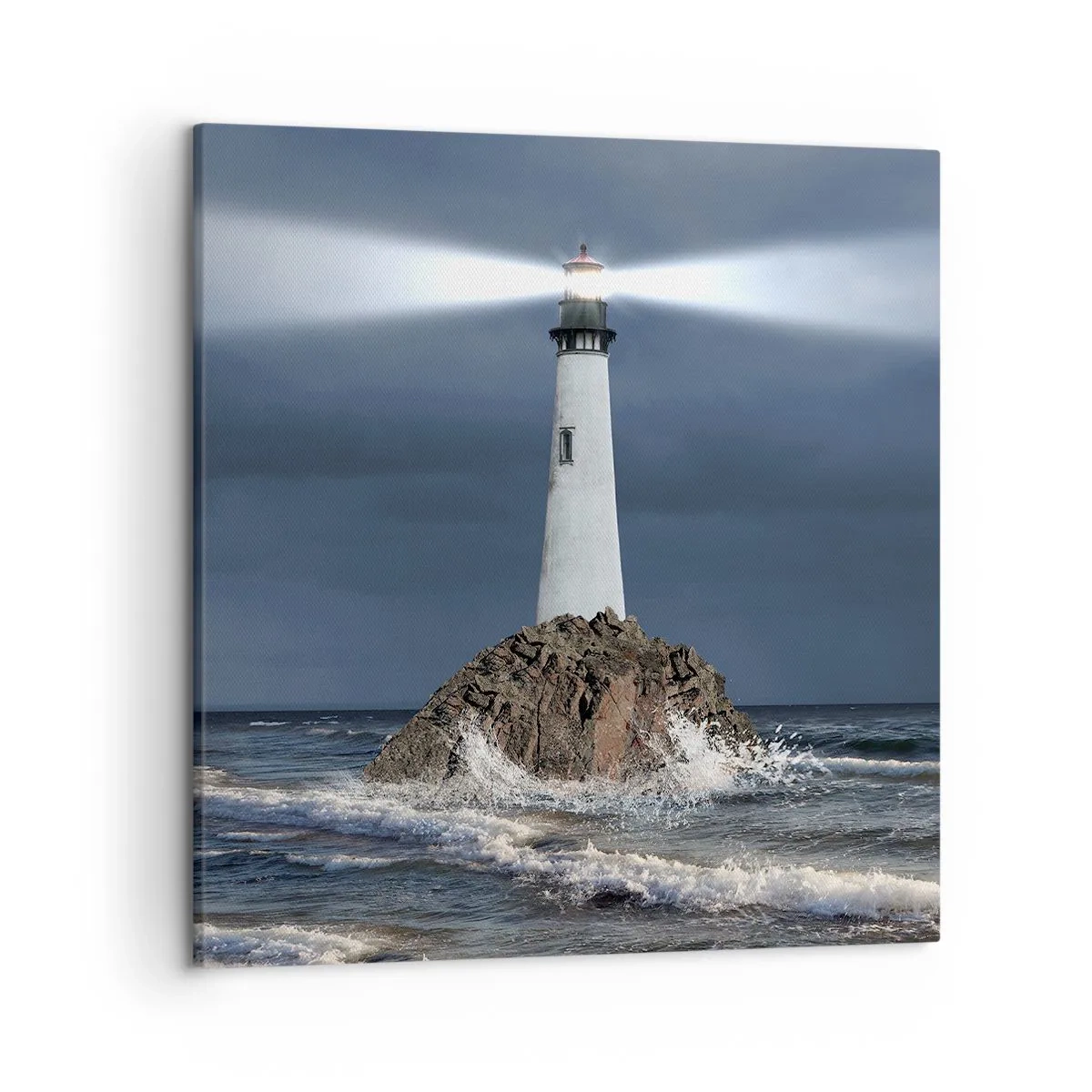 Obraz na plátne - Tu…tu…tuná! - 50x50 cm