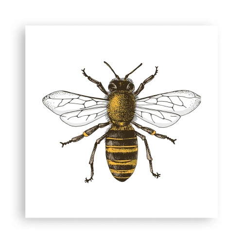 Plagát - Krásna a dobrá - 40x40 cm