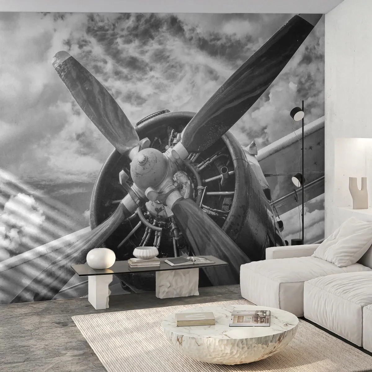 Samolepiaca Fototapeta Deluxe Sticker - Dobyvateľ oblohy - Lietadlo, Vrtuľa lietadla, Vintage - 250x175 cm