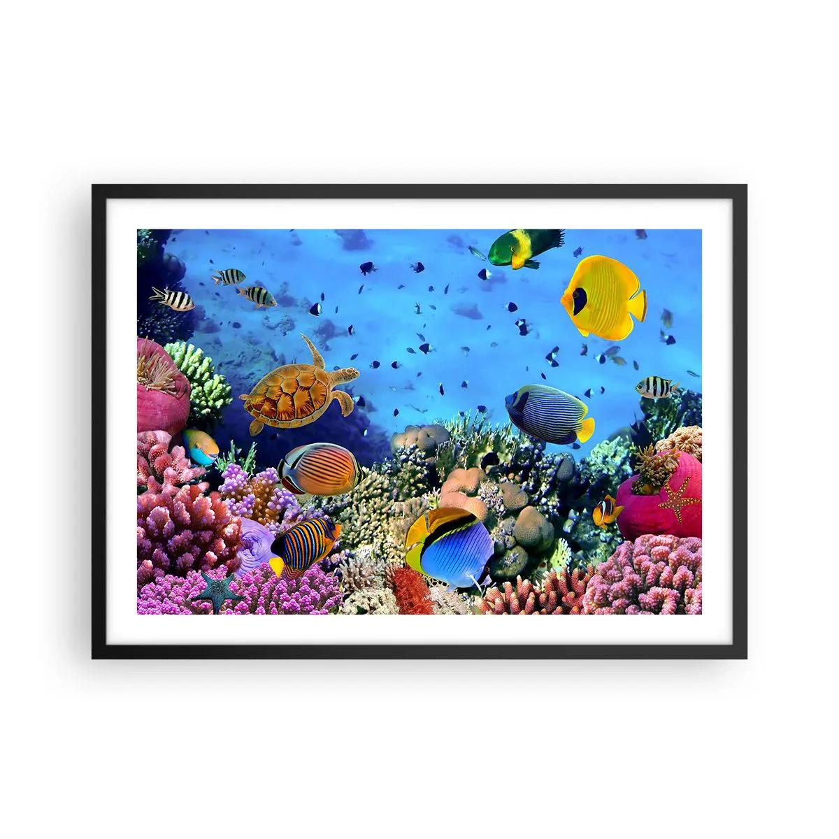 Plagát v čiernom ráme - Čo vieme o živote… - 70x50 cm