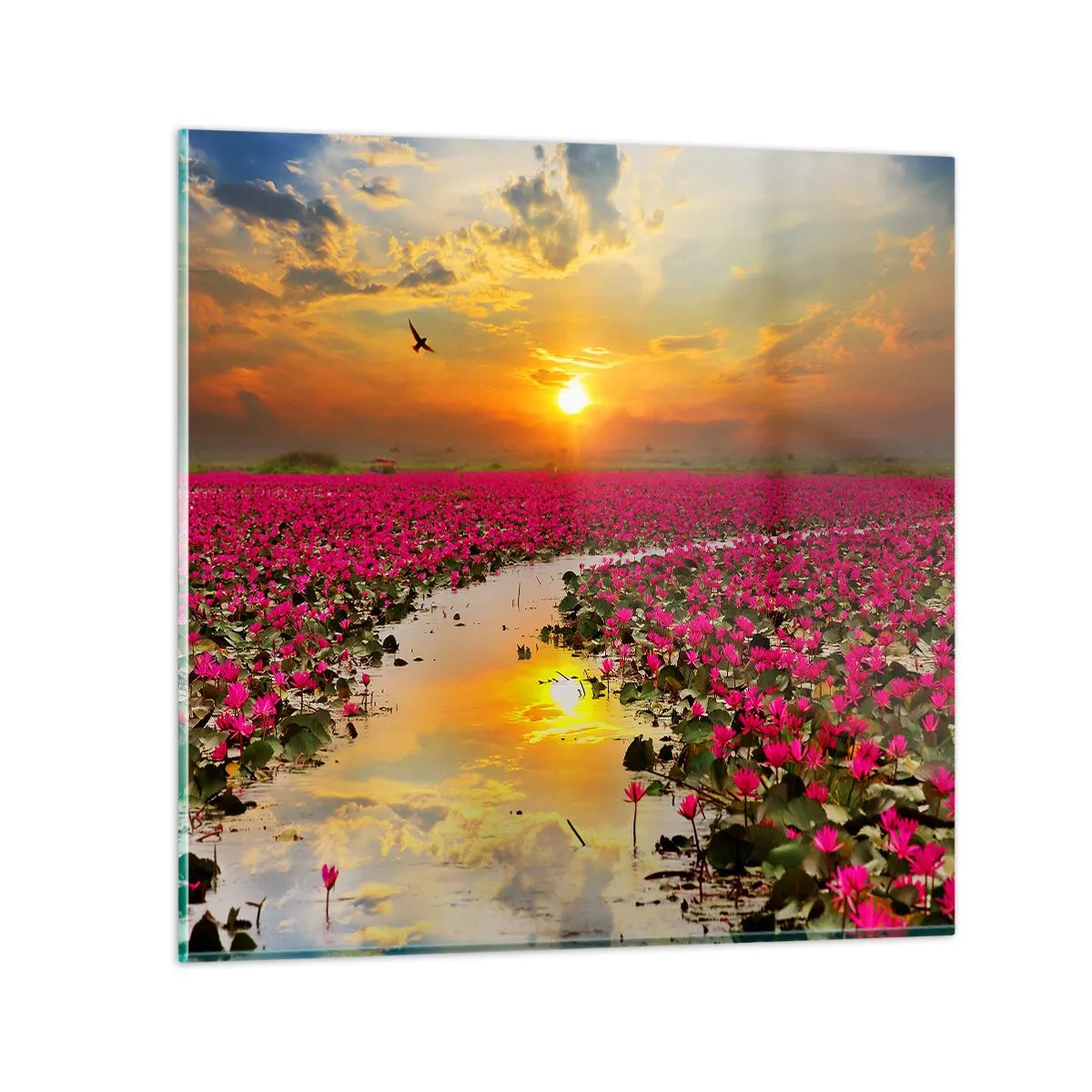 Obraz na skle - Tajomný život jazera - 40x40 cm