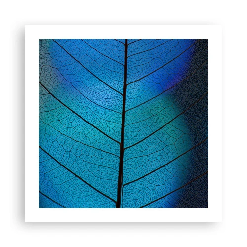 Plagát - Až do detailov - 50x50 cm