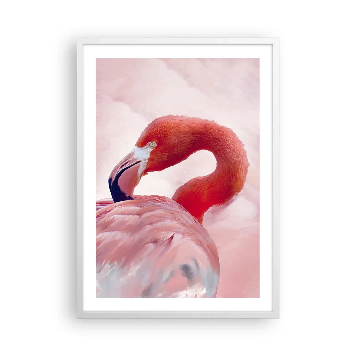 Plagát v bielom ráme - Vtáčia krása - 50x70 cm