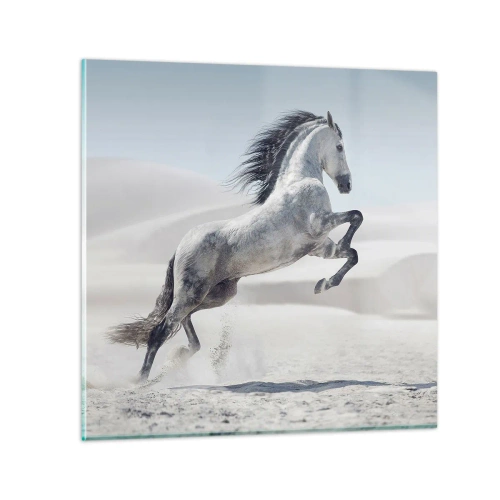 Obraz na skle - Arabské knieža - 40x40 cm