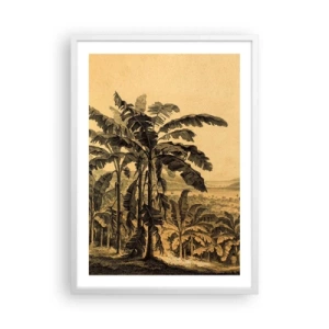 Plagát v bielom ráme - V koloniálnom štýle - 50x70 cm