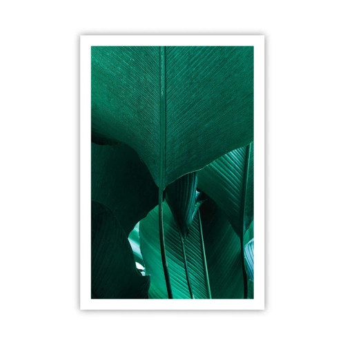 Plagát - Obrátené k svetlu - 61x91 cm