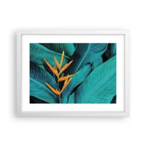 Plagát v bielom ráme - Rajský kvet - 40x30 cm