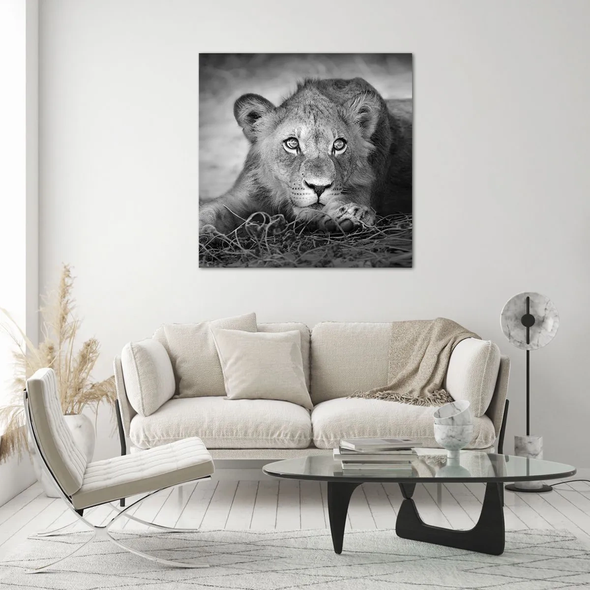 Obraz na skle - Kráľovské šteňa - 40x40 cm