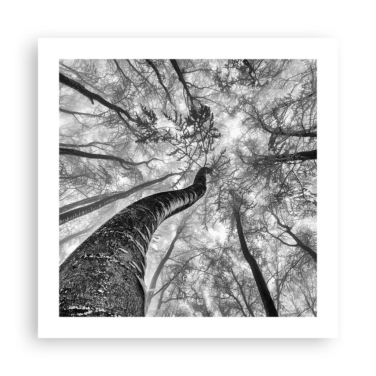 Plagát - Závod ku svetlu - 50x50 cm