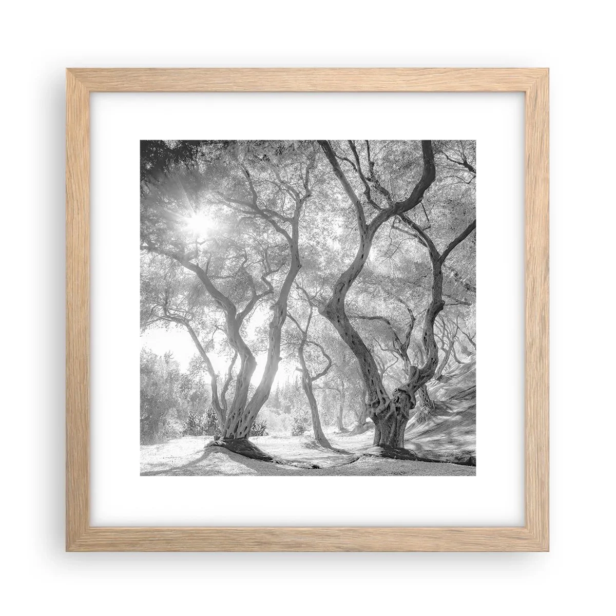 Plagát v ráme zo svetlého duba - V olivovom háji - 30x30 cm