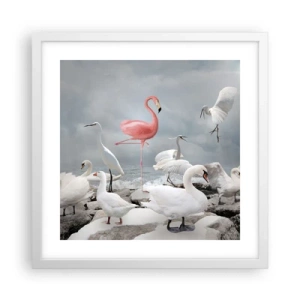 Plagát v bielom ráme - Kde som sa tu vzal? - 40x40 cm