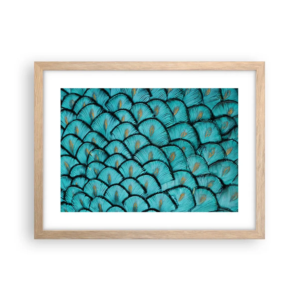 Plagát v ráme zo svetlého duba - Veľká slávnosť peria - 40x30 cm