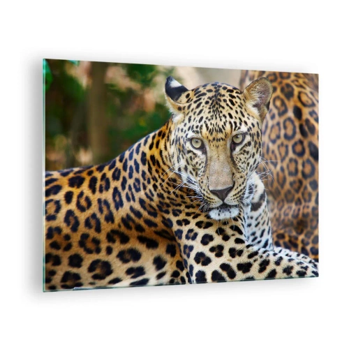 Obraz na skle - Divoký leopard odpočíva uprostred zelene - 70x50cm - Divoký a pokojný - Moderná nástenná dekorácia do obývacej izby a spálne ARTTOR