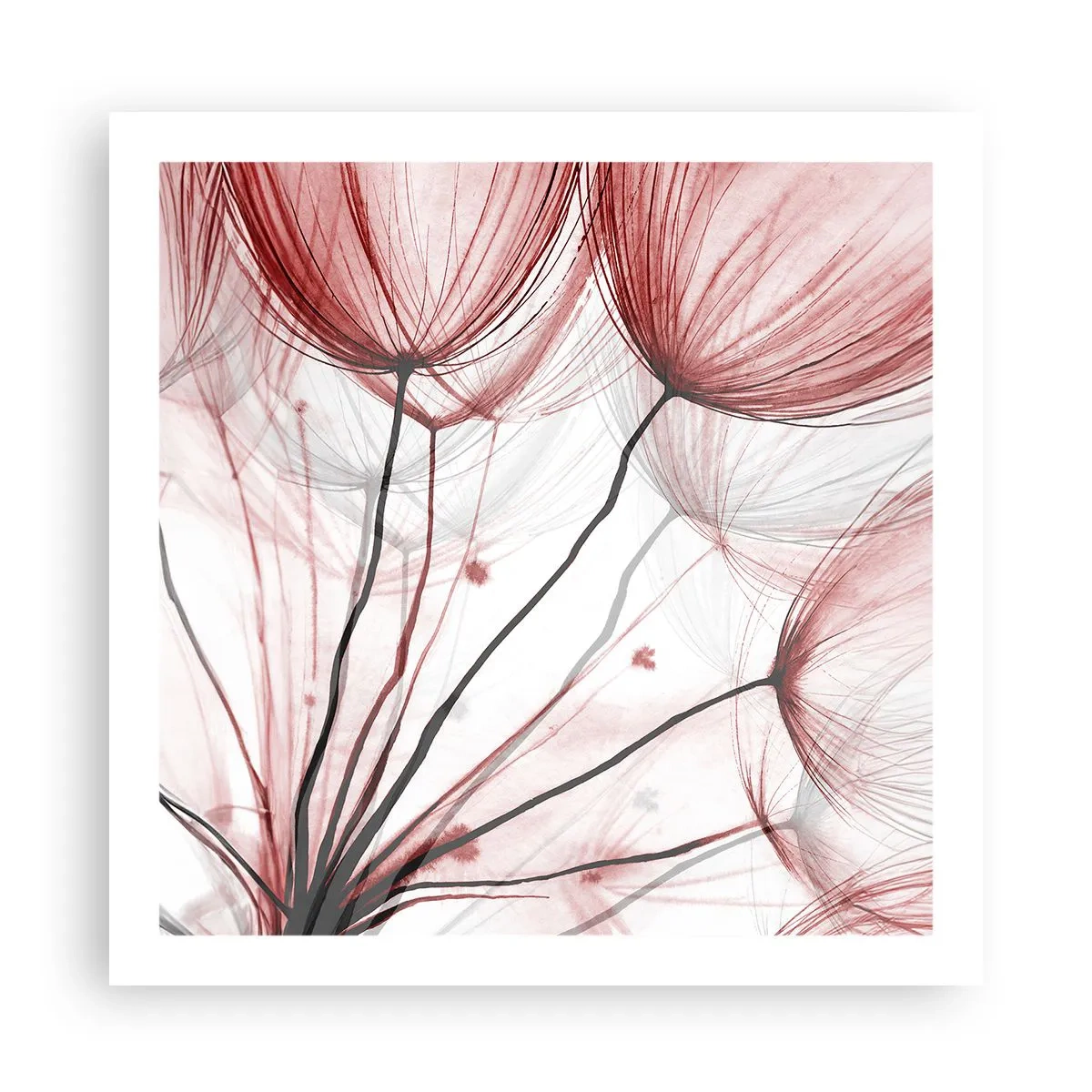 Plagát - Pred odletom - 60x60 cm