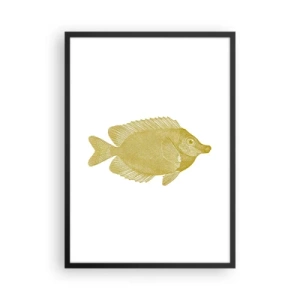 Plagát v čiernom ráme - Vintage zlaté rybky na bielom pozadí - 50x70cm - Proste ryba - Moderná nástenná dekorácia do obývacej izby a spálne ARTTOR