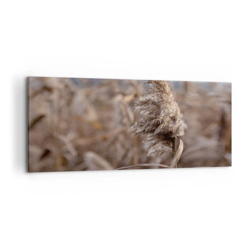 Obraz na plátne - Čas odletieť s vetrom - 120x50 cm