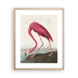 Plagát v ráme zo svetlého duba - Úžasná tvora - 40x50 cm