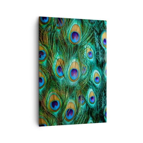 Obraz na plátne - Páví pohľad - 70x100 cm