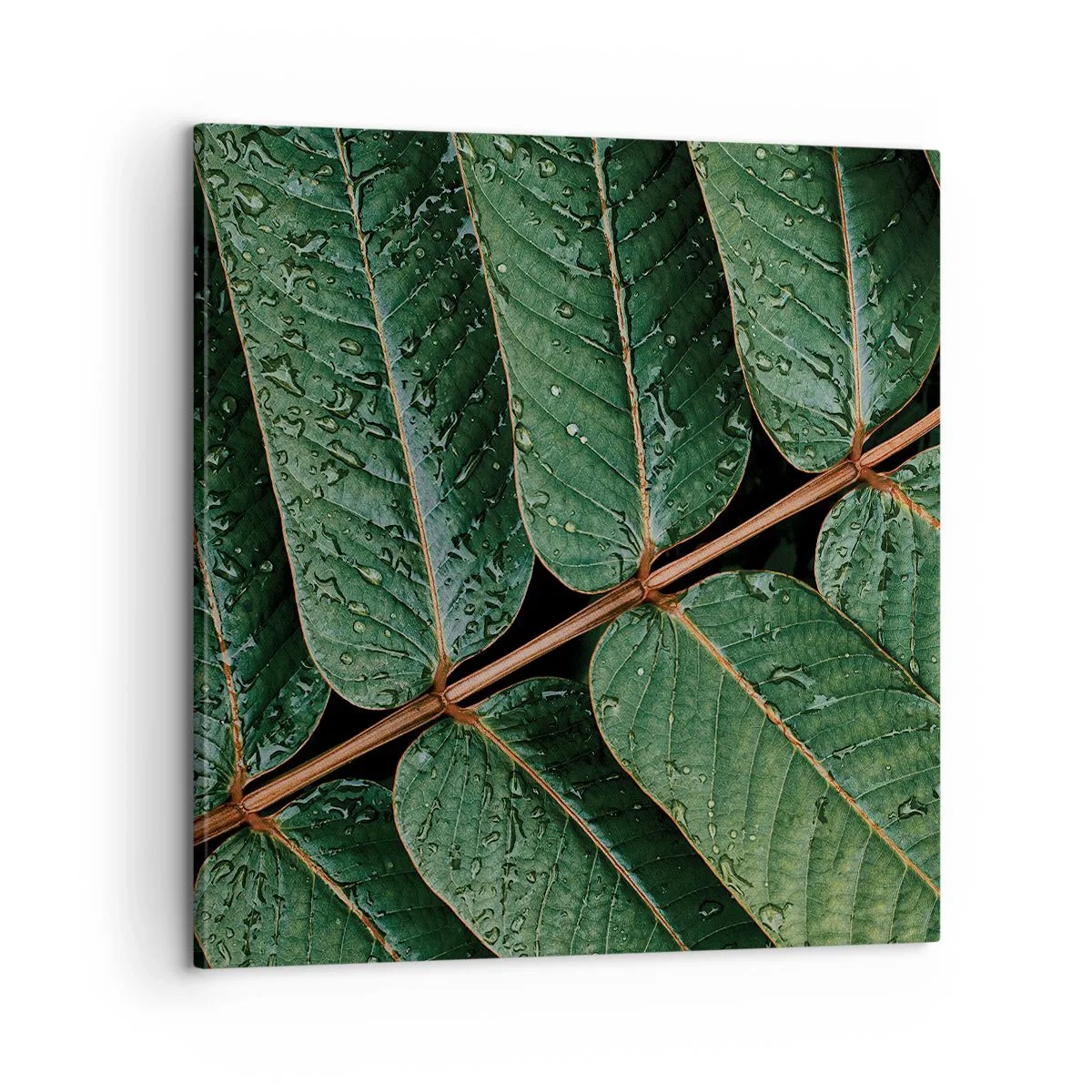 Obraz na plátne - V zelenom rytme - 60x60 cm