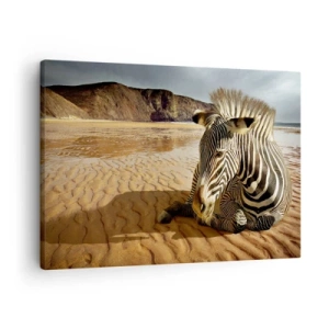 Obraz na plátne - Zebra odpočíva na piesočnatej pláži s útesmi v pozadí. - 70x50cm - Hodíme sa k sebe - Moderná nástenná dekorácia do obývacej izby a spálne ARTTOR