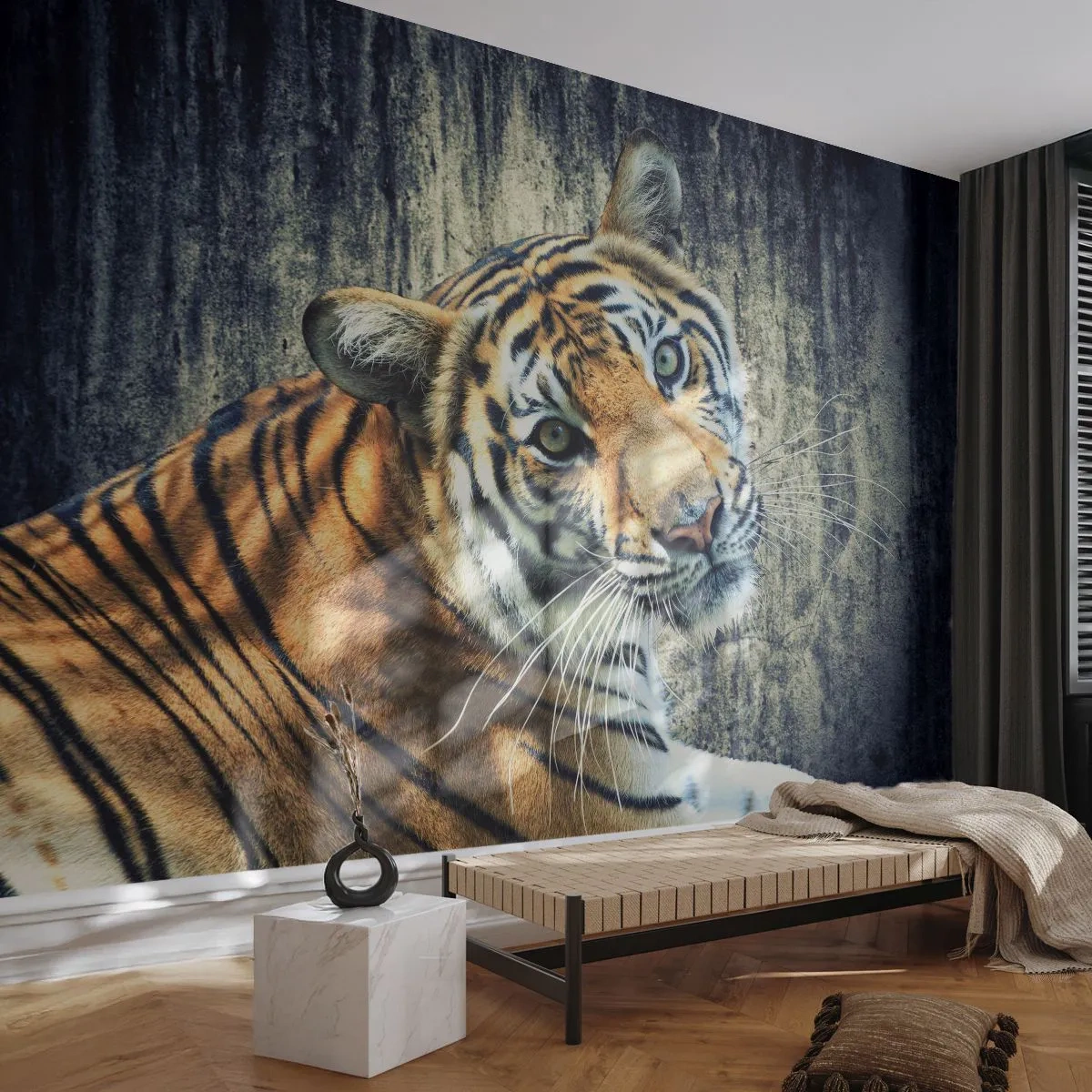 Samolepiaca Fototapeta Deluxe Sticker - Portrét v prameňoch svetla - Zvieratá, Tiger, Afriky - 250x175 cm
